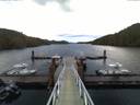 ./images/calvert/dock/20170418/dock20170418_063002.jpg