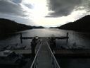 ./images/calvert/dock/20170421/dock20170421_091504.jpg