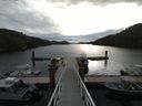 ./images/calvert/dock/20170422/dock20170422_092504.jpg