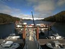 ./images/calvert/dock/20170424/dock20170424_170501.jpg