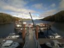 ./images/calvert/dock/20170424/dock20170424_171002.jpg