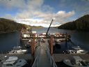 ./images/calvert/dock/20170424/dock20170424_171504.jpg