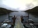./images/calvert/dock/20170426/dock20170426_205502.jpg