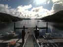 ./images/calvert/dock/20170723/dock20170723_100002.jpg