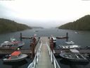 ./images/calvert/dock/20170729/dock20170729_061504.jpg
