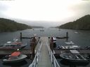 ./images/calvert/dock/20170729/dock20170729_073004.jpg