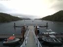 ./images/calvert/dock/20170729/dock20170729_073504.jpg