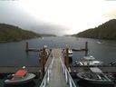 ./images/calvert/dock/20170729/dock20170729_083503.jpg