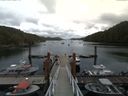 ./images/calvert/dock/20170729/dock20170729_140004.jpg