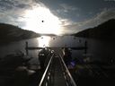 ./images/calvert/dock/20170730/dock20170730_072504.jpg