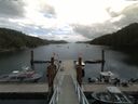 ./images/calvert/dock/20170730/dock20170730_130503.jpg