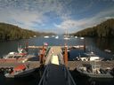 ./images/calvert/dock/20170730/dock20170730_174504.jpg