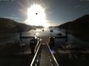 ./images/calvert/dock/20170731/dock20170731_074502.jpg