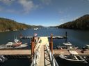 ./images/calvert/dock/20170803/dock20170803_140004.jpg