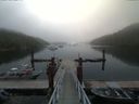 ./images/calvert/dock/20170804/dock20170804_092003.jpg