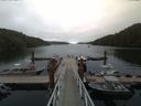 ./images/calvert/dock/20170806/dock20170806_133504.jpg