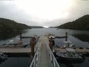 ./images/calvert/dock/20170806/dock20170806_140001.jpg