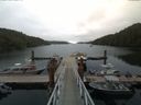 ./images/calvert/dock/20170806/dock20170806_140501.jpg