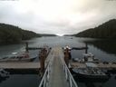 ./images/calvert/dock/20170806/dock20170806_141003.jpg