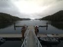 ./images/calvert/dock/20170806/dock20170806_145501.jpg
