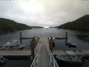 ./images/calvert/dock/20170806/dock20170806_160502.jpg