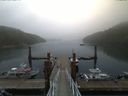 ./images/calvert/dock/20170807/dock20170807_085504.jpg