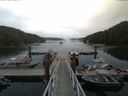 ./images/calvert/dock/20170807/dock20170807_130502.jpg