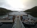 ./images/calvert/dock/20170807/dock20170807_131004.jpg