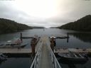 ./images/calvert/dock/20170807/dock20170807_135502.jpg