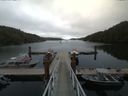 ./images/calvert/dock/20170807/dock20170807_141002.jpg
