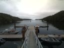 ./images/calvert/dock/20170807/dock20170807_151003.jpg
