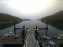 ./images/calvert/dock/20170808/dock20170808_073503.jpg