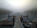 ./images/calvert/dock/20170810/dock20170810_064501.jpg