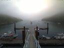 ./images/calvert/dock/20170810/dock20170810_073501.jpg