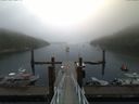 ./images/calvert/dock/20170810/dock20170810_075502.jpg