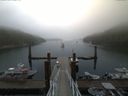 ./images/calvert/dock/20170810/dock20170810_081004.jpg