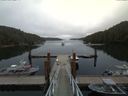 ./images/calvert/dock/20170810/dock20170810_115504.jpg