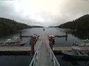 ./images/calvert/dock/20170810/dock20170810_163002.jpg