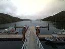 ./images/calvert/dock/20170810/dock20170810_163504.jpg