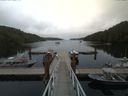 ./images/calvert/dock/20170810/dock20170810_164501.jpg