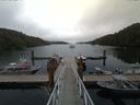 ./images/calvert/dock/20170810/dock20170810_170002.jpg