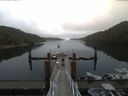 ./images/calvert/dock/20170811/dock20170811_100503.jpg