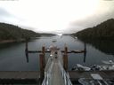 ./images/calvert/dock/20170811/dock20170811_102004.jpg