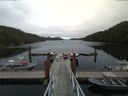 ./images/calvert/dock/20170811/dock20170811_135503.jpg