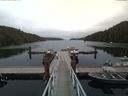 ./images/calvert/dock/20170811/dock20170811_155002.jpg