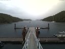 ./images/calvert/dock/20170812/dock20170812_134501.jpg