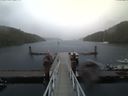 ./images/calvert/dock/20170812/dock20170812_192003.jpg