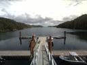 ./images/calvert/dock/20170813/dock20170813_134503.jpg
