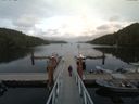 ./images/calvert/dock/20170813/dock20170813_185004.jpg