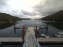 ./images/calvert/dock/20170814/dock20170814_125501.jpg